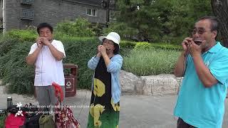 Harmonica in Xihai Park Beijing - China Now