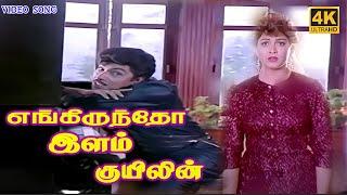 எங்கிருந்தோ இளங்குயிலின்|Engirundho ilangkuyilin|Sad Song|S. P. B|Ilayaraja|PS Thenisaii|