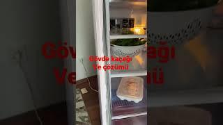 Buzdolabı sistemde kaçak var , gaz kaçağı gövdeden çıktı/  gövdedeki kaçağın onarımı