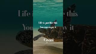 Life lesson 1| Such me Gyani | sea of life| relationship | Relationship Vivekananda| knowledge