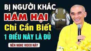 Khi Bị Người Khác HÃM HẠI Chỉ Cần Biết 1 Điều Này Là Đủ - Thầy Thích Tuệ Hải (nên nghe 1 lần)