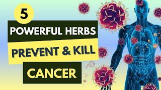 5 Powerful Herbs That Prevent And Kill Cancer