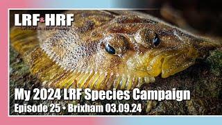 Episode 25: My 2024 LRF Species Hunt - Brixham