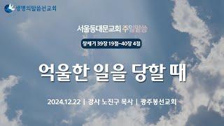 억울한 일을 당할때 서울동대문교회 주일말씀 노진구 목사(2024.12.22)