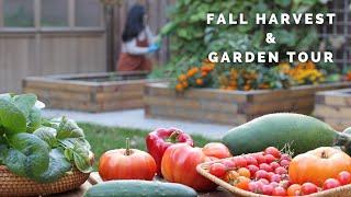 A Gratitude Tour of My Fall Vegetable Garden