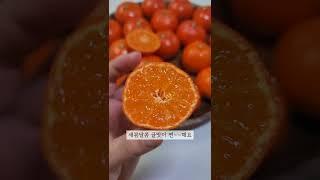 오늘 간식은 이거!#sorts #엄마사람집밥요리 #귤 #홍귤 #집콕 #간식 #오늘뭐먹지