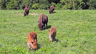 Welcome Back to Kentucky State Parks