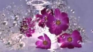 the windmills of your mind- Pianist by Lam Khê