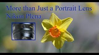 More than Just a Portrait Lens: the Nikon 135mm 1.8 Plena