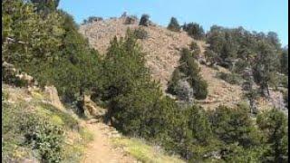 Artemis Trail (Hiking area in Troodos, Cyprus)