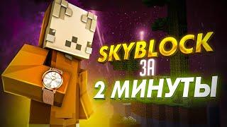 ПРОШЁЛ скайблок ЗА 2 МИНУТЫ? ПРИЗОН 2.0 | VimeWorld