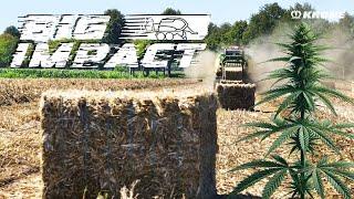 KRONE BiG Impact – BiG Pack power beim Hanfpressen