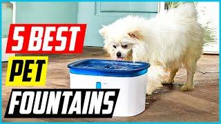 Best Pet Fountains 2021 [Top 5 Picks]