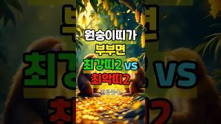 원숭이띠랑 결혼하면 돈줄 터지는 띠 vs 재물 막히는 최악 궁합은?