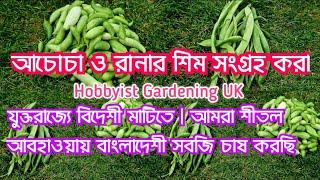 in the foreign soils in the UK | We are Growing Bangladeshi vegetables in the colder climate