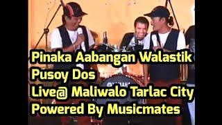 Pusoy Dos LIVE @ MALIWALO TARLAC CITY ( POWERED BY MUSICMATES )