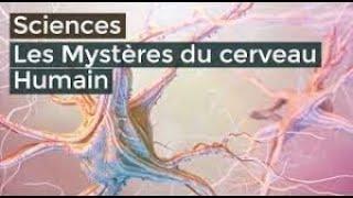 Les mystères du cerveau Humain - Documentaire français 2016 HD