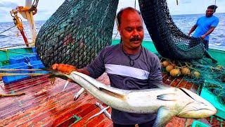 Amazing! On The second Day we stayed In The Deep sea and Caught biggest fish| Day -02| EPISODE -02