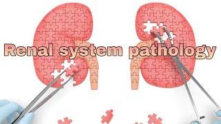 Renal system pathology 1st lecture.