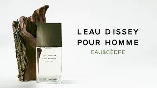 L’Eau D’Issey Pour Homme Eau & Cèdre Eau de Toilette Intense | GiraOfertas