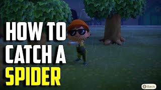 How to Catch a Spider | Spider ACNH | Animal Crossing New Horizons Spider | Spider Animal Crossing