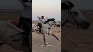 اصغر فارسه عربية تحلق بكل ثقه جود فخر #العرب  #جود_اصغر_خياله  #السعودية