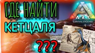 ГДЕ НАЙТИ КЕТЦАЛЯ в ARK Mobile | Ark survival evolved mobile, ark survival,  Арк мобайл