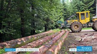 L'avant JT - En Franche-Comté, la filière bois planche sur son avenir