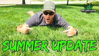 Lawn Revival Secrets: Beat the Summer Heat!