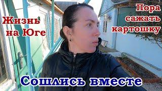 Жизнь в станице, Сошлись  вместе, Соседи посадили картошку, Море, Колеусы, Обработали сад