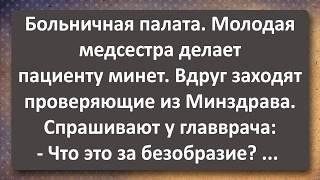 Мужик с Большим Хозяйством и Рабочая Медсестра! Сборник Самых Свежих Анекдотов!