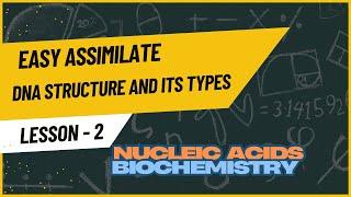 DNA Structure | Types of DNA | A-DNA | B-DNA | Z-DNA