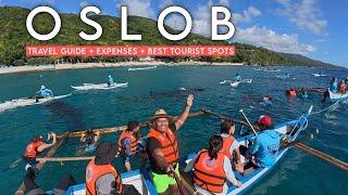 OSLOB  2025 | Travel Guide + Expenses - Whaleshark Watching + Bluewater Sumilon + Tumalog Falls