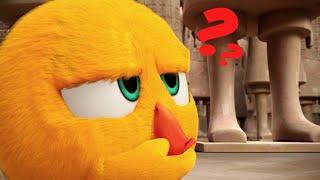 Where's Chicky? | Hide and Seek with Poyo | A Xilam Series | Xilam TV