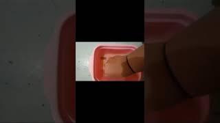 Frozen gamiber chek part2