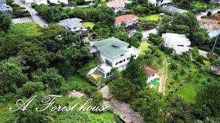 [포레스트 하우스] 우리집 정원은 약1400평, 양평송파고속도로 호재지역  양평전원주택 house in south korea10385