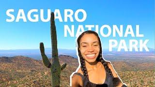 SOLO hiking at Saguaro National Park| Things to do in BOTH the East and West Sides 