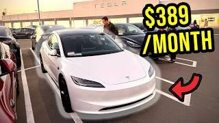 [DELIVERY] INSANE Deal on a NEW Tesla Model 3 *Q4 DISCOUNTS