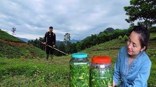 Chieu cuts grass, Phan makes pickles: the life of a couple living in the valley