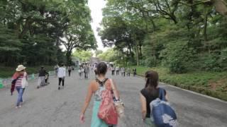 Videowalk in Meiji shrine