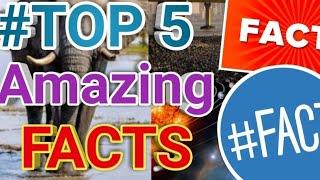 top 5 amazing facts about who invent chewing gum,who invent safety pin