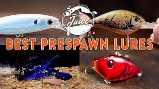 Best PRESPAWN Bass Fishing Lures! (Spring Fishing Tips) 𝗧𝗵𝗲 𝗝𝘂𝗶𝗰𝗲 𝗘𝗽. 𝟳