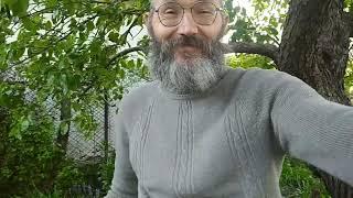 Ёжик с Рыжиком на пенёчке под грушей. Вам от нас наилучшие пожелания.