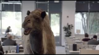 Geico - Hump Day REMIX "Guess What Day It Is" Camel (FINAL) Happier than a Camel on Wednesday