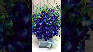 Blue Orchid flower arrangement #floraldesign #relax #floristry #fyp #giftideas #orchidlovers#fypシ