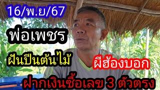 10 พ่อเพชร ฝันปีนต้นไม้บอกเลข