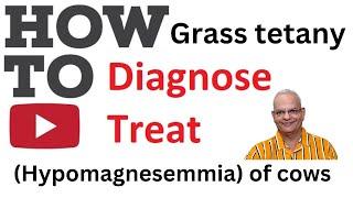 "Solving the Cattle Disease Mystery: Preventing Grass Tetany"