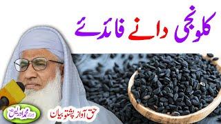 Molana Muhammad Idrees Sahib   pashto bayan کلونجی خاصیّت