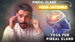 Power Of Pineal Gland | YOGA FOR PINEAL GLAND | ​⁠​⁠@prashantjyog