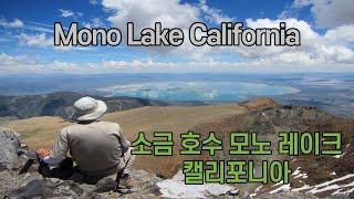 캘리포니아 여행 Mono Lake (모노 호수)